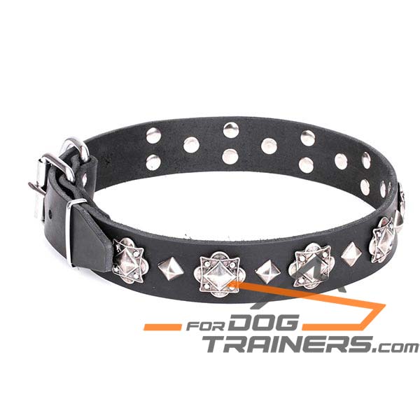 Reinforced leather dog collar with rivets 
