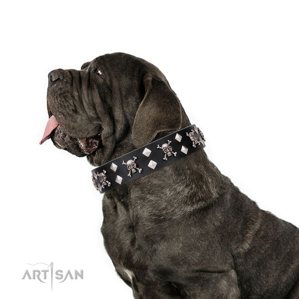 Mastino Neapoletano comfortable full grain genuine leather dog collar with decorations