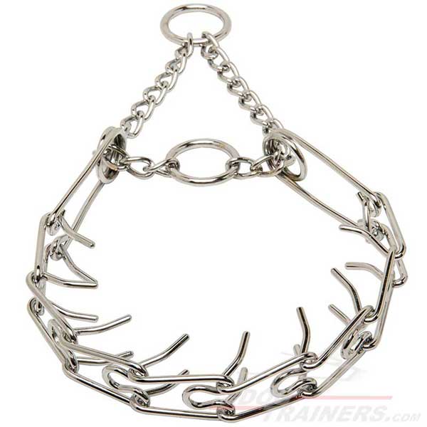 Chrome Plated Dog Pinch Collar