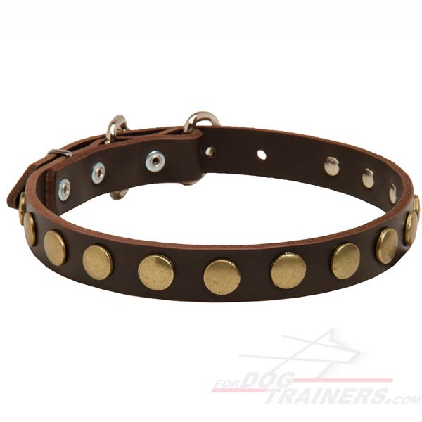 Leather Collar with circles