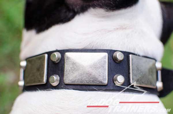 Nickel Plates and Pyramids on Dog Leather Collar