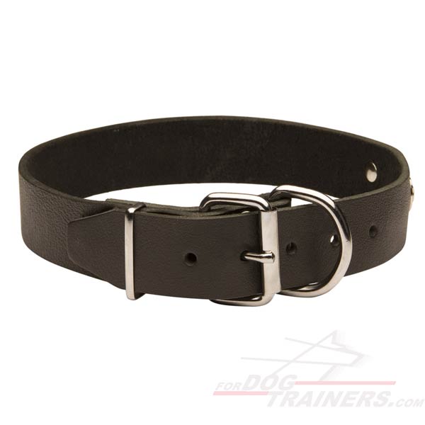 Leather Collar with id tag
