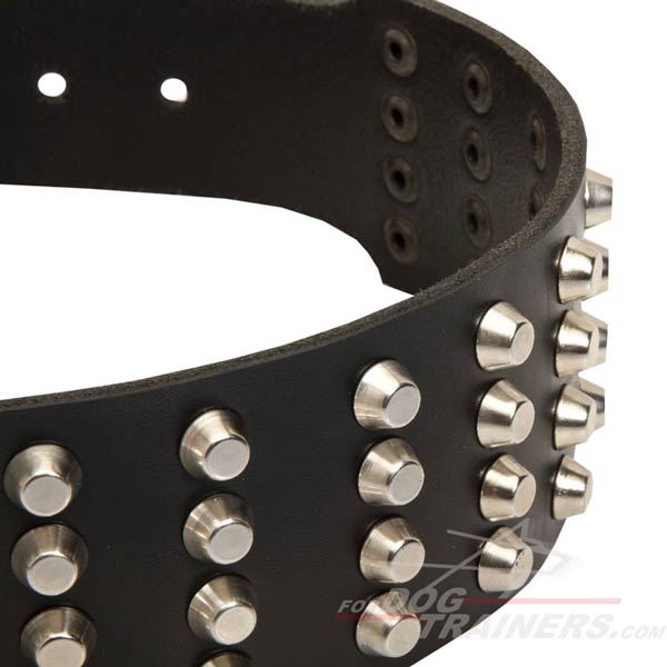 Wide Dog Collar