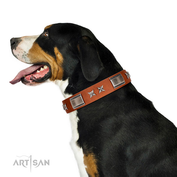 Soft tan leather Swiss Mountain Dog collar for daily use