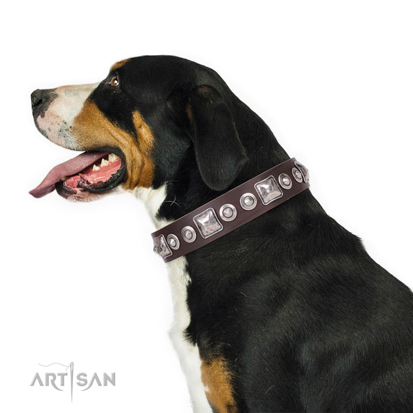 Swiss Mountain Dog decorated leather dog collar with adornments