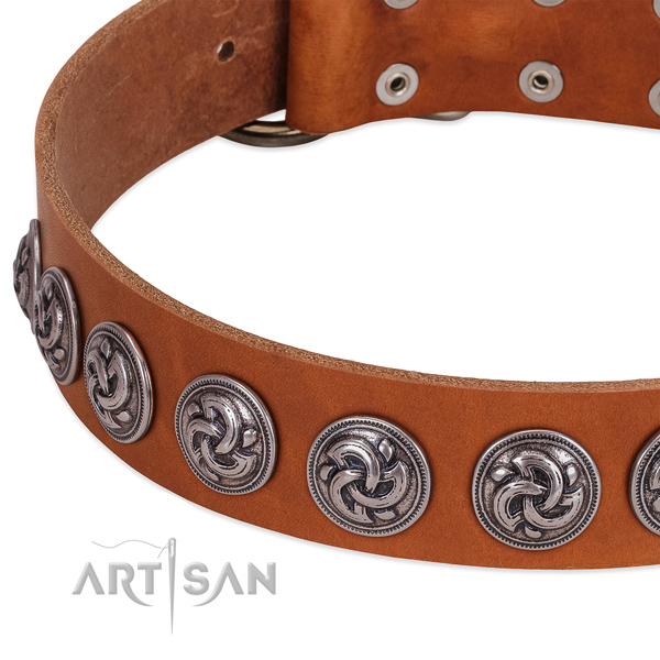 Tan Leather Dog Collar Exclusively Adorned with Silvery Brooches