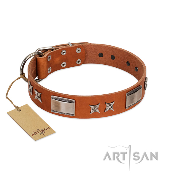 Comfortable tan leather dog collar for walking