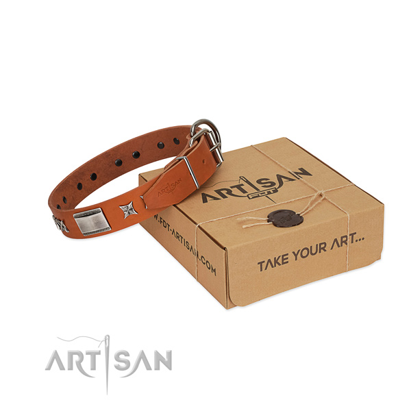 Handcrafted walking genuine leather dog collar