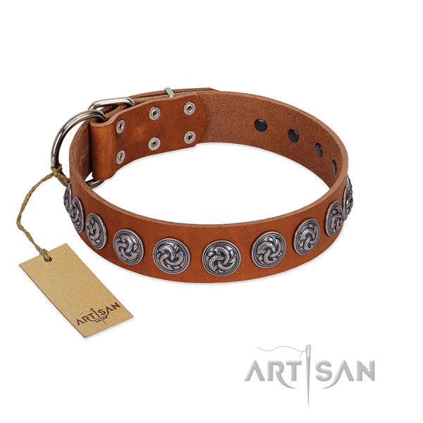 Premium Quality Tan Leather Collar with Unique
Decorations