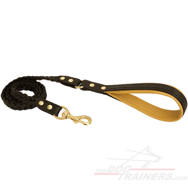 Beautiful training and walking dog leash