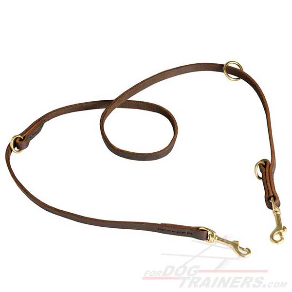 Strong Leather Dog Leash for Walking and Training