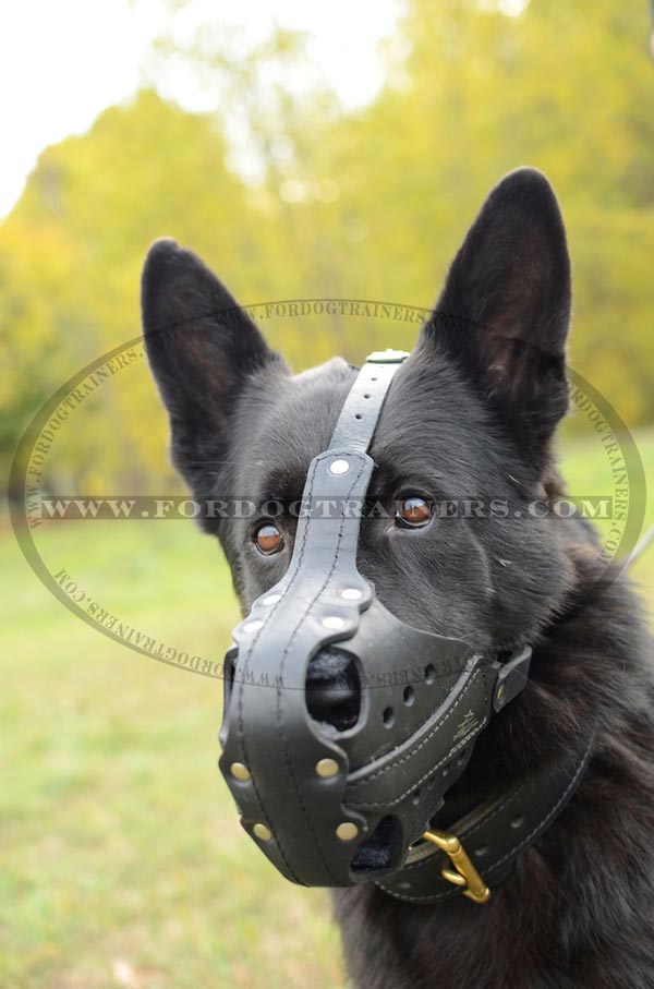 Leather GSD Muzzle for Attack Work