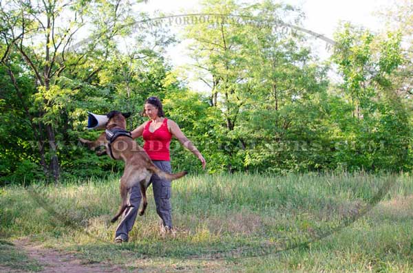 Belgian Malinois Bite Builder for Developing Better Angle Bite