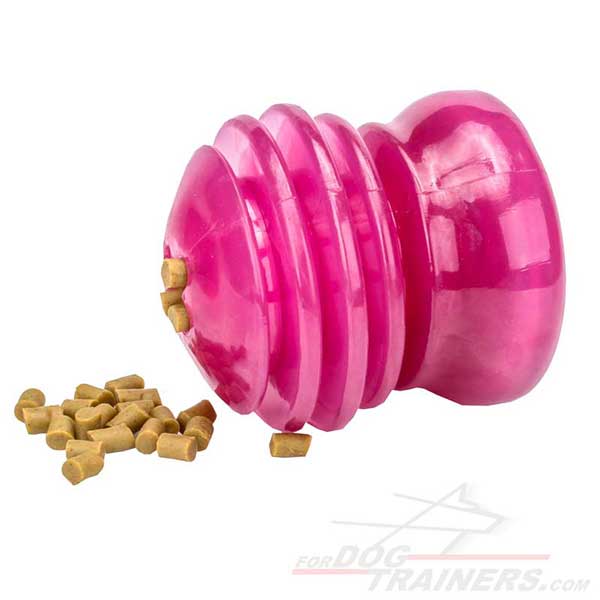 Rubber dog treat holder with groovy form