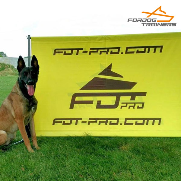 Pro Training with Schutzhund Dog Training Jump