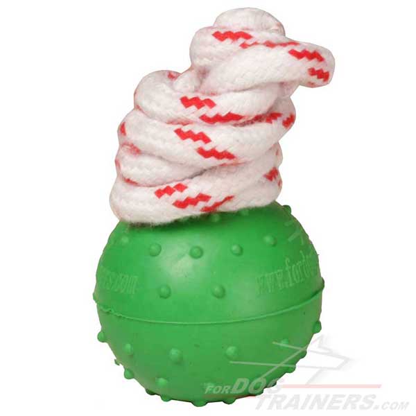  Water Ball Dog Toy of  Unsinkable Rubber