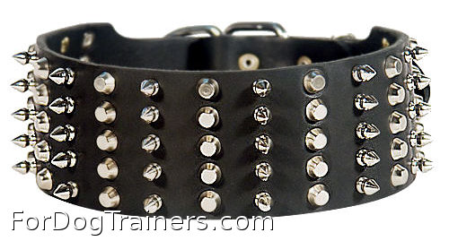 Fine Spiked and Studded Pitbull Collar