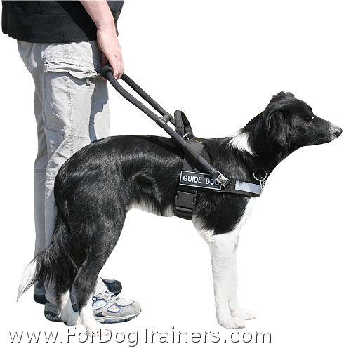 Guide dog harness, Assistance dog harness