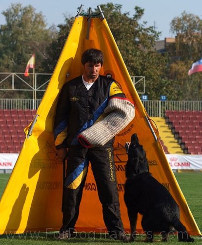 Schutzhund training
standart blind