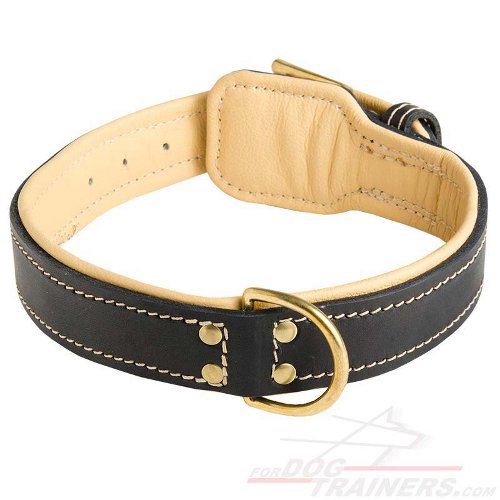 Royal Nappa Padded Handmade Leather Dog Collar for Fashion Walking - Click Image to Close