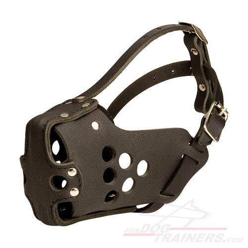 police muzzle