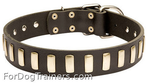 New design leather
dog collar