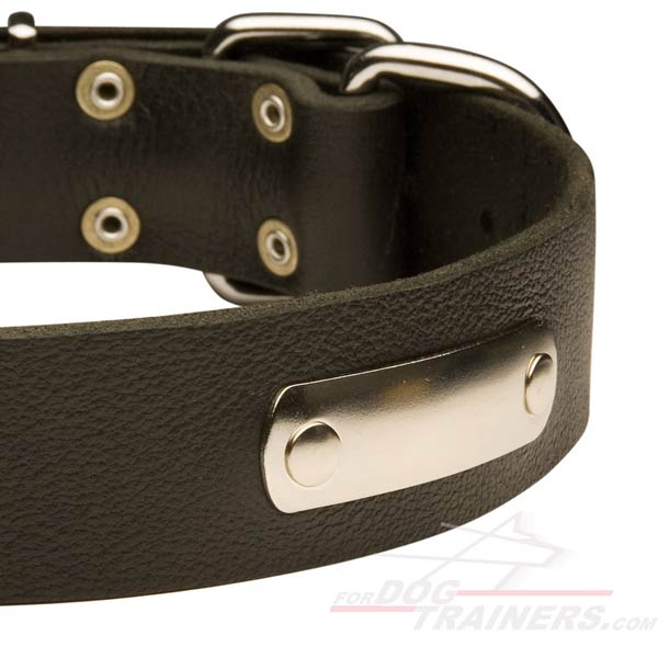 Excellent Leather Dog Collar