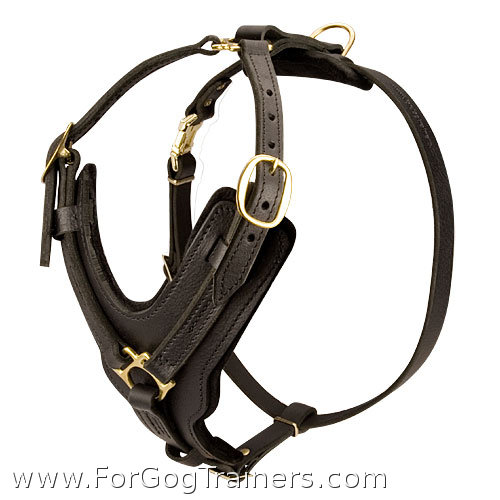 Special Design Leather Dog Harness