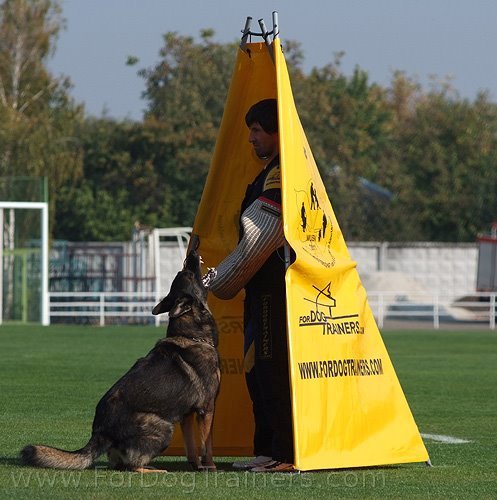 Schutzhund training
standart blind