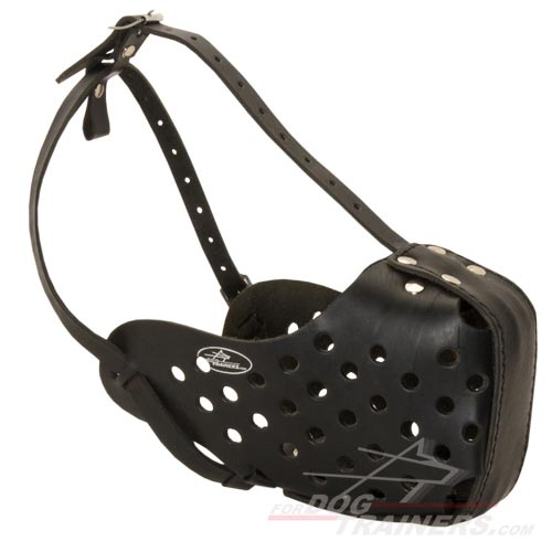 Training leather dog muzzle for medium and big dogs M5