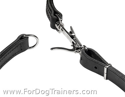 combo leash collar
quick release snap close up