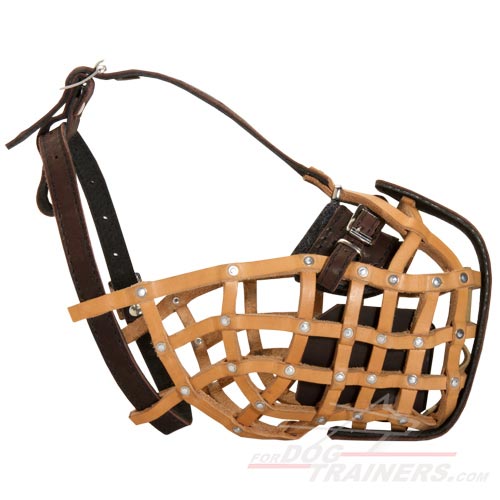 police muzzle