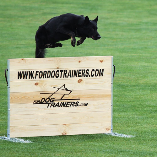 training schutzhund
jump