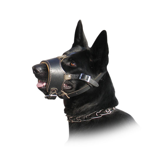 GSD leather dog muzzle