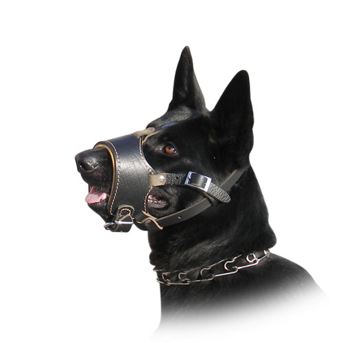 GSD muzzle