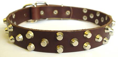 brown Walking leather dog collar with Nickel Pyramids