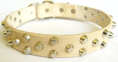 white leather dog collar decorated with pyramids